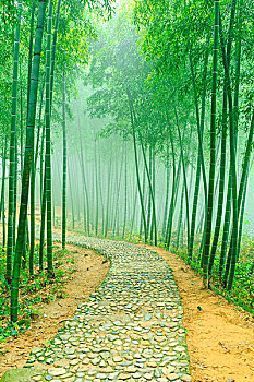xổ số miền nam ba đài