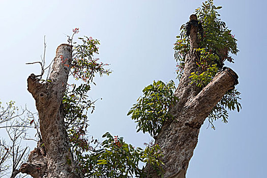 xổ số vietlott power