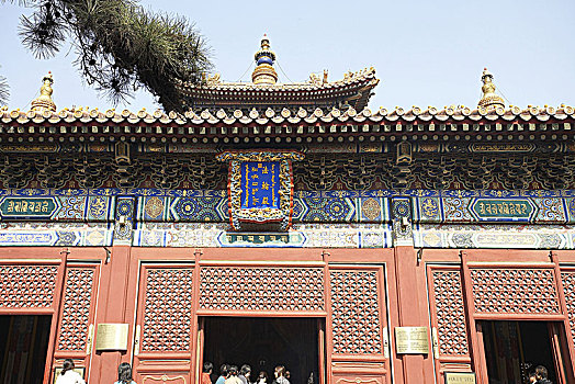 soi cầu tuấn vũ 668