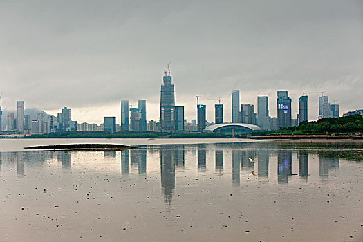 cau bach thu la