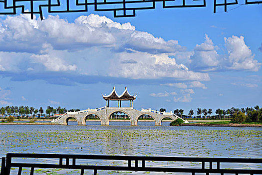 soi cầu bach thủ
