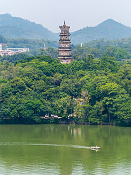 bạch thủ lô ngày mai