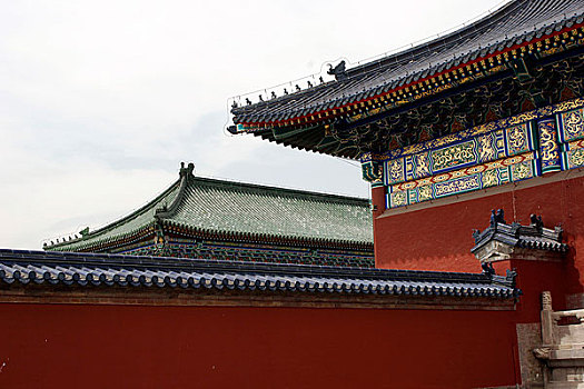 cau lo 888