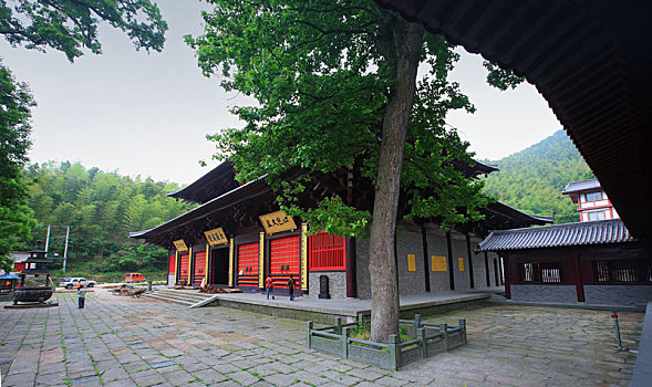 bắt lô trượt