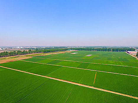 kết quả xổ số chấm nét